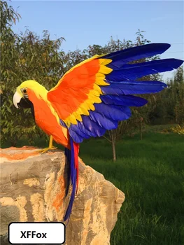 חמוד אמיתי חיים צבעוניים תוכי דגם קצף&נוצות כנפי תוכי, ציפור מתנה על 30x50cm d0234