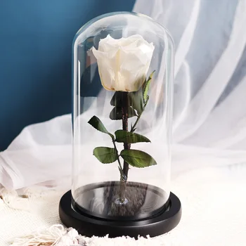 מיובשות משומרות פרחים היופי והחיה נצחי אמיתי רוז בתוך כיסוי זכוכית עיצוב הבית קישוטים חתונה מתנת יום האהבה